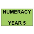 2016-2021 NAPLAN Interactive Tests Numeracy Year 5